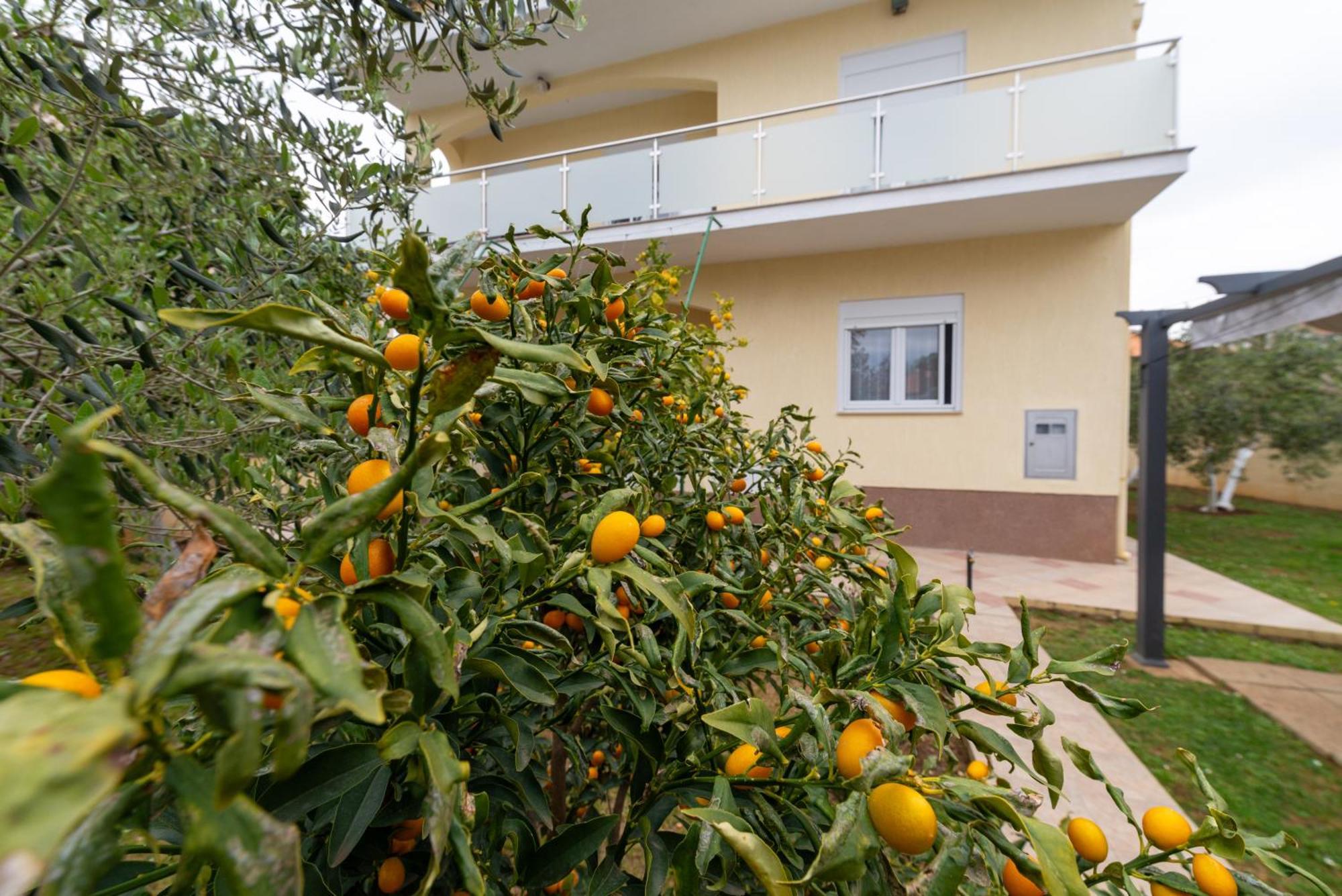 Villa K&F Borik Zadar Bagian luar foto